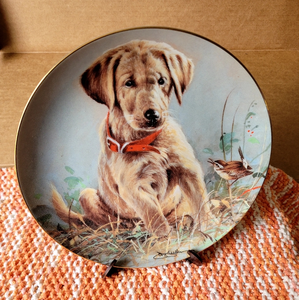 Franklin Mint Decorative Dog Plate with Orange Collar